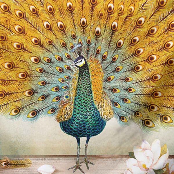 peacock